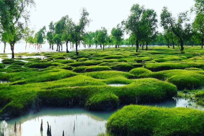 Guliakhali Sea Beach