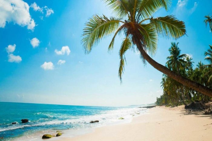 Saint Martin Tour Package 2 Days