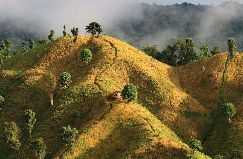 AMAZING DAUGHTER OF HILLS : BANDARBAN