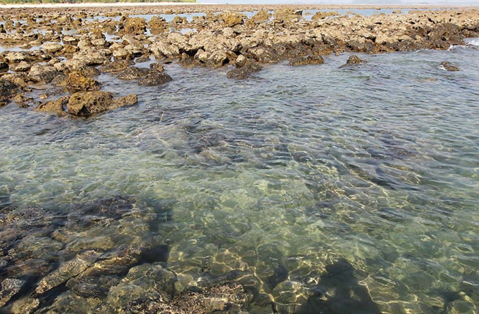 CORAL ISAND : SAINT MARTIN