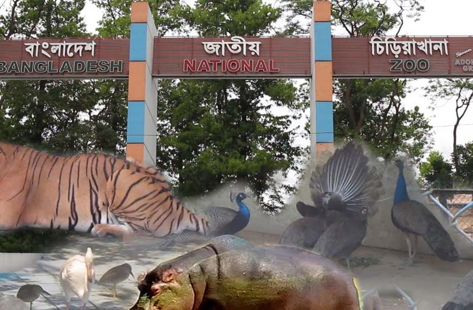 Dhaka Zoo
