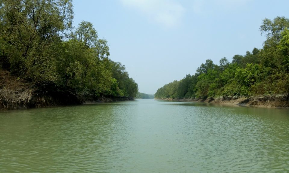 চর কুকরি মুকরি