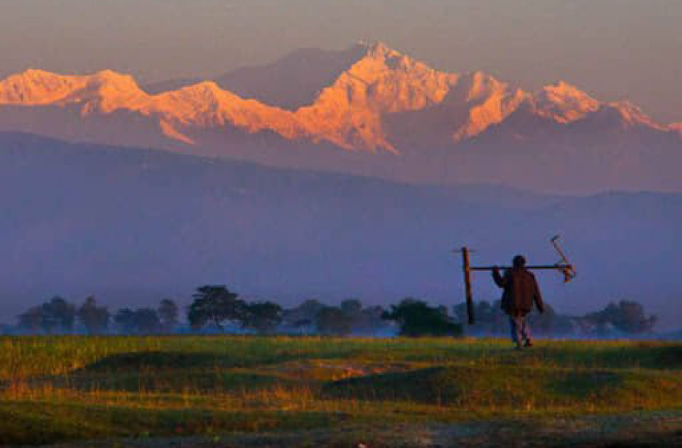 তেতুলিয়া