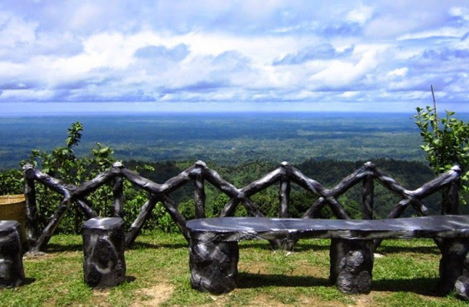 নীলগিরি