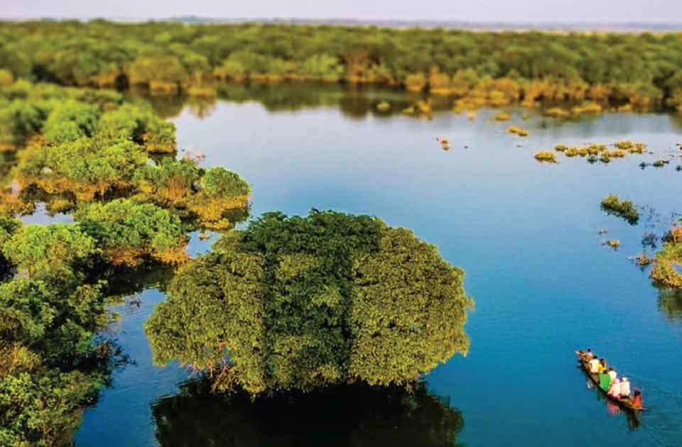 সিলেট রাতারগুল ভ্রমণের সকল তথ্য।