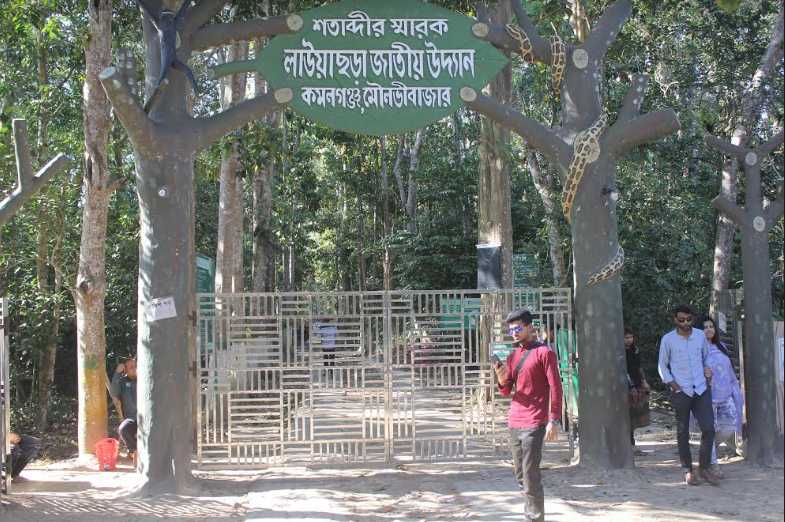 লাউয়াছড়া বন ভ্রমণের সকল তথ্য