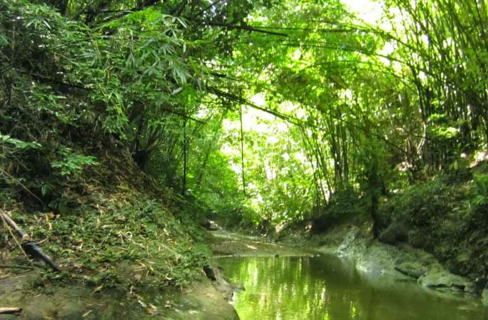 সিলেট হামহাম ভ্রমণের সকল তথ্য